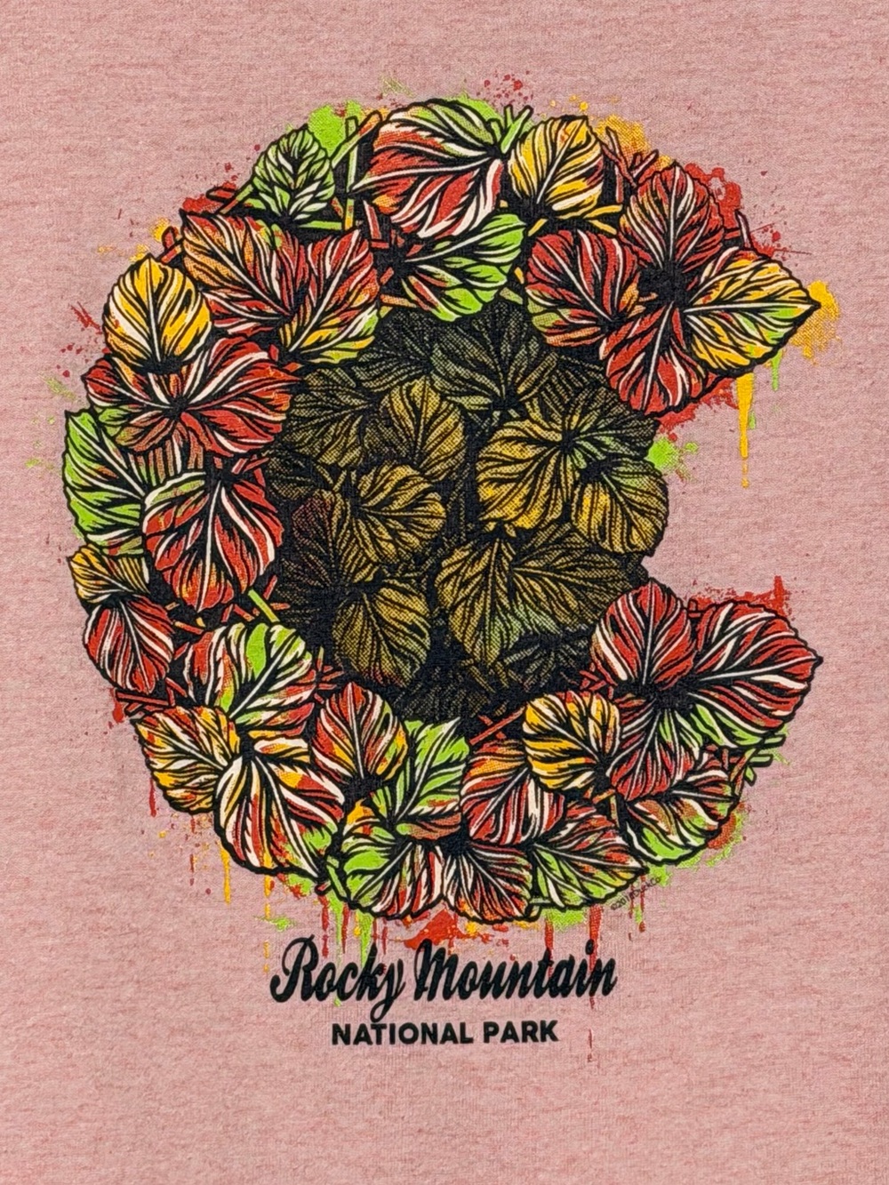 Rocky Mountain National Park Graphic Tee Pink Heather Size 2XL Recycled Cotton - Picture 3 of 4